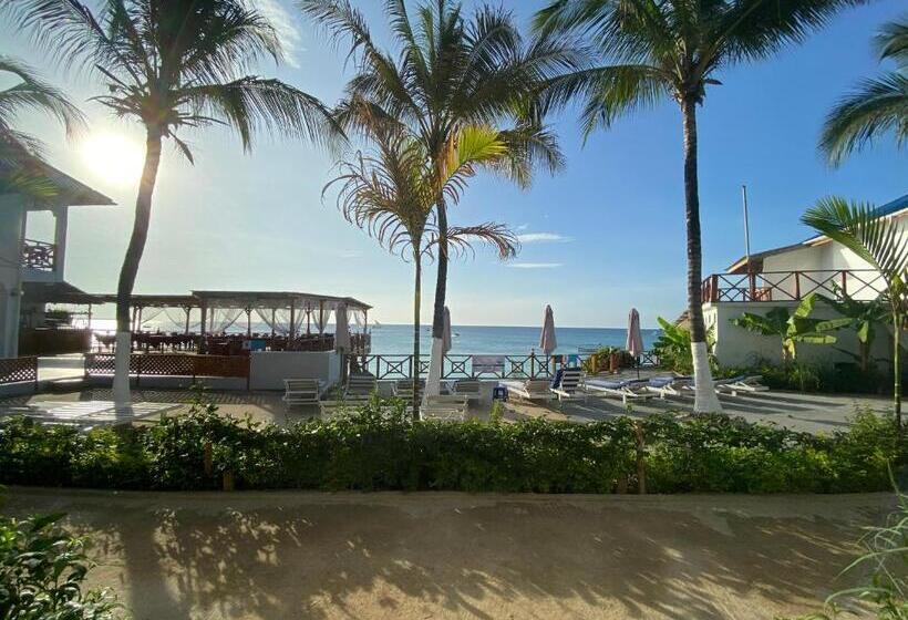 オーシャンビュースタンダードルーム, Zenobia Beach Resort