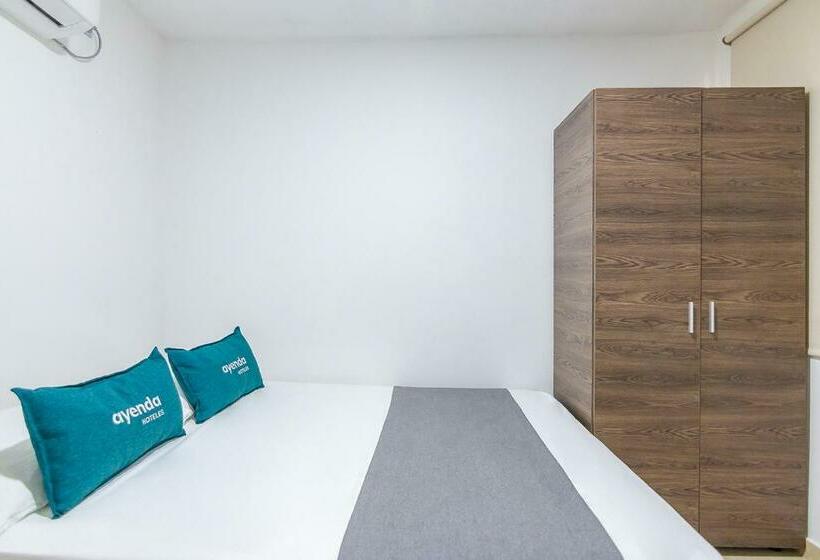 Номер Стандарт, Gaia