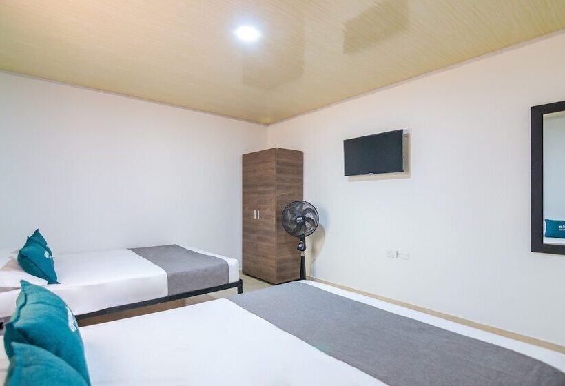 Четырехместный Номер Стандарт, Gaia