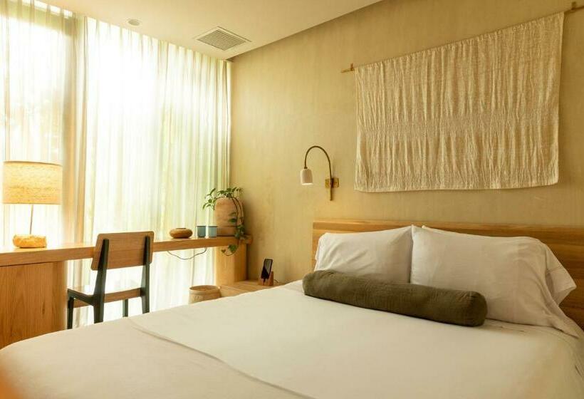 غرفة قياسية, 23 Hotel Medellin