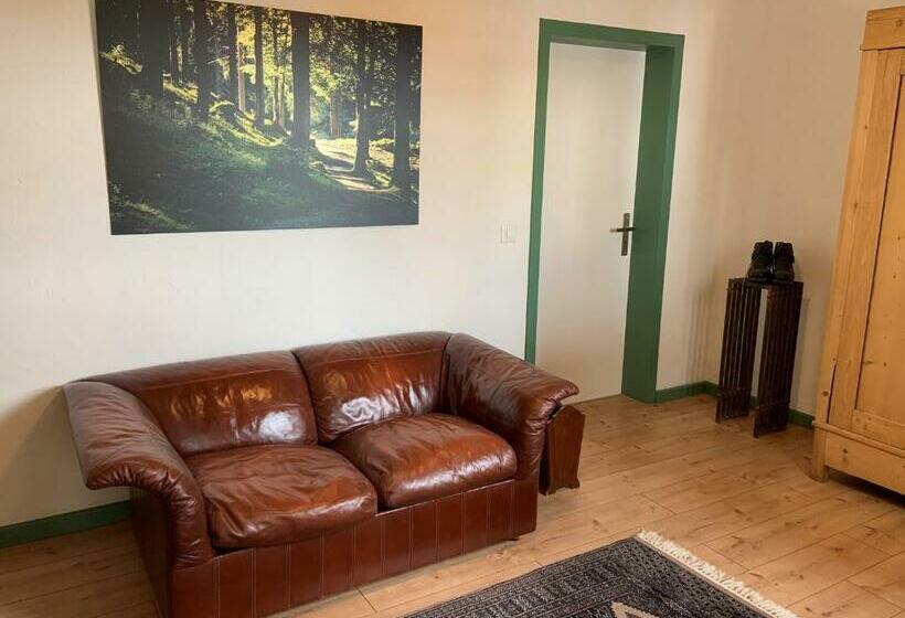 חדר סטנדרט, Waldheim Pension Laax