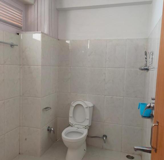 חדר סטנדרט לשלושה, Bhrigu