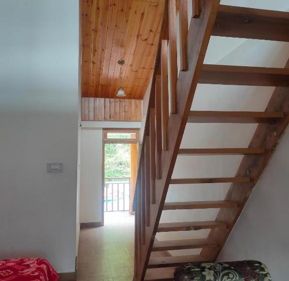 סוויטה משפחתית, Bhrigu