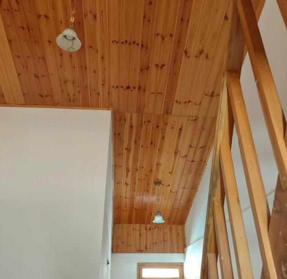 סוויטה משפחתית, Bhrigu