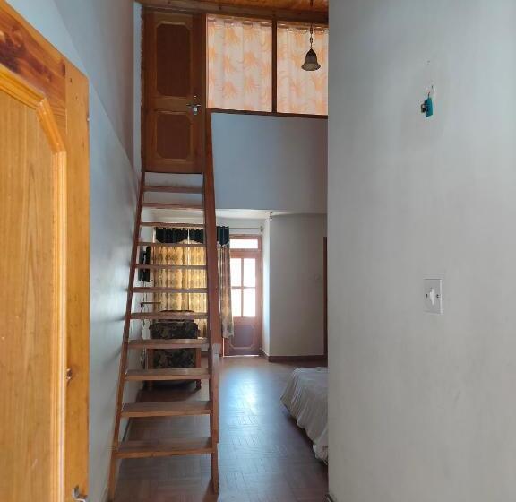 סוויטה משפחתית, Bhrigu