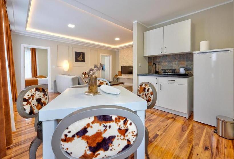 آپارتمان 2 خوابه, Onix Residence