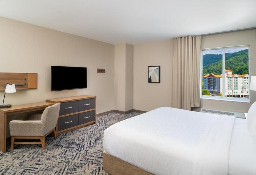 Студия Премиум, Candlewood Suites Asheville Downtown, An Ihg
