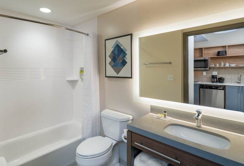 Студия Стандарт Двуспальная Кровать, Candlewood Suites Asheville Downtown, An Ihg