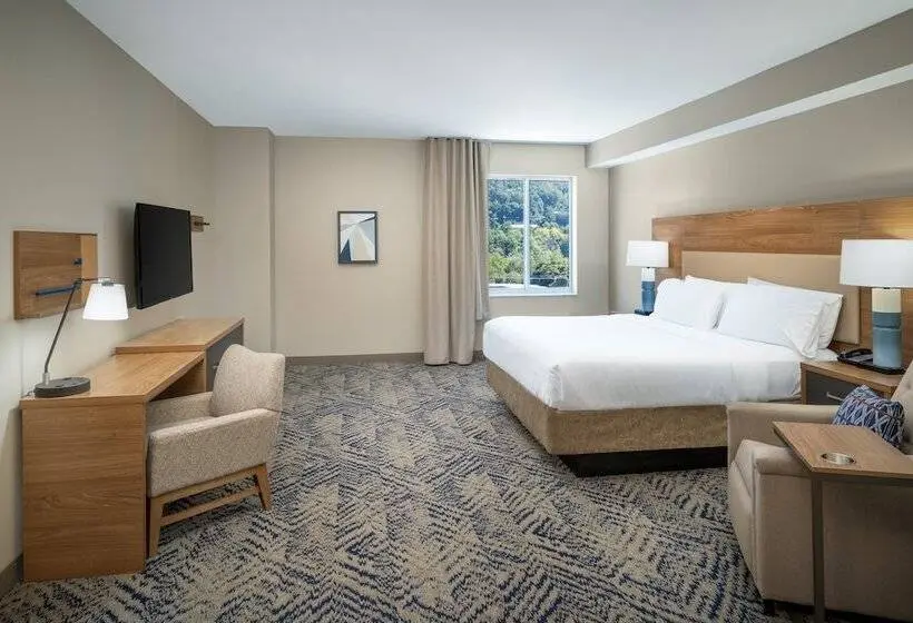 Standard-studio Parivuode, Candlewood Suites   Asheville Downtown, An Ihg