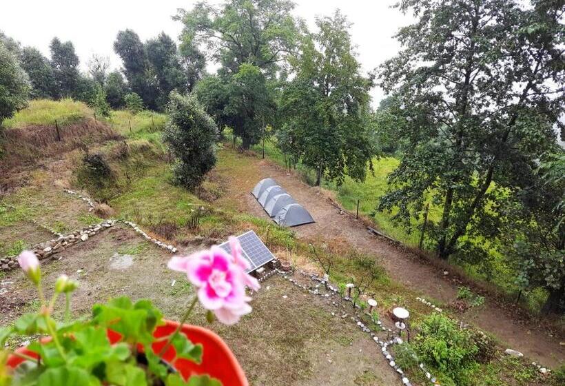 Standard Tent, Janardan Studio Hotel Kausani