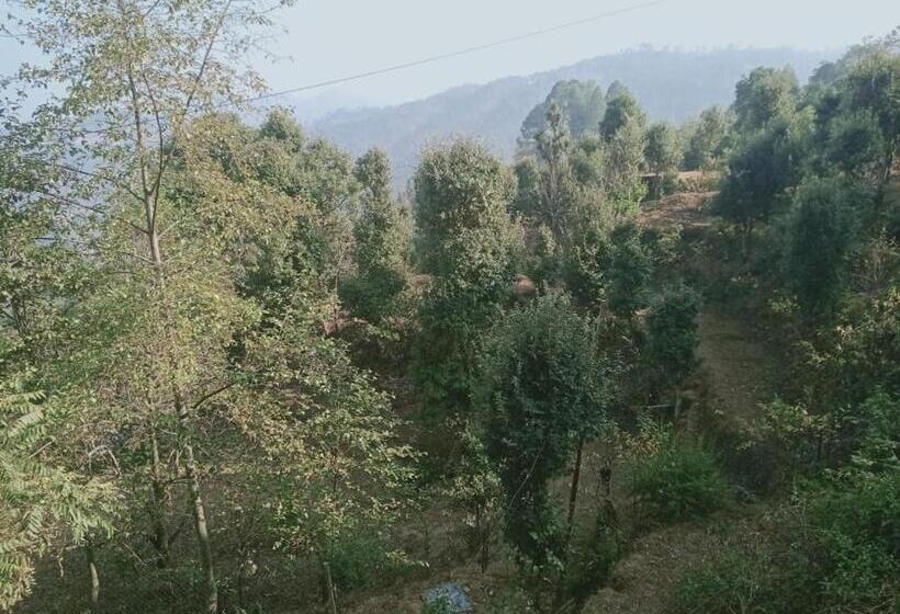 패밀리 스튜디오, Janardan Studio Hotel Kausani