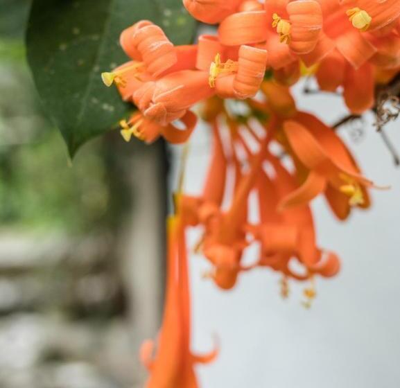 标准单人间, Pacheco Farmhouse   Intag Valley