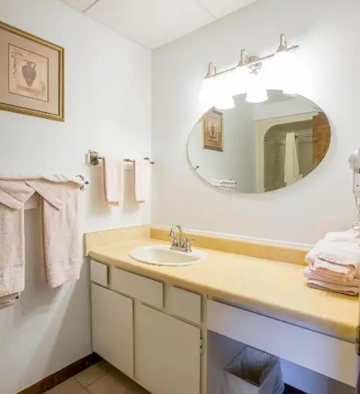 １ベッドルームのスーペリアアパートメント, Crown Resorts At Wolf Run