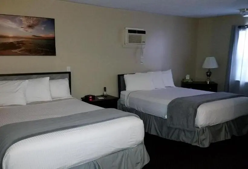 1階の1ベッドルームアパートメント, Middleton Motel & Suites