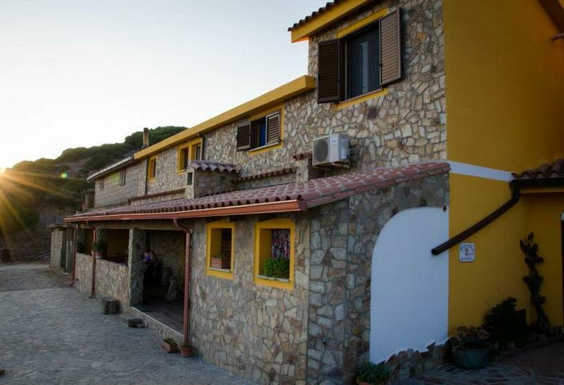 Quarto Estandar, L'aquila