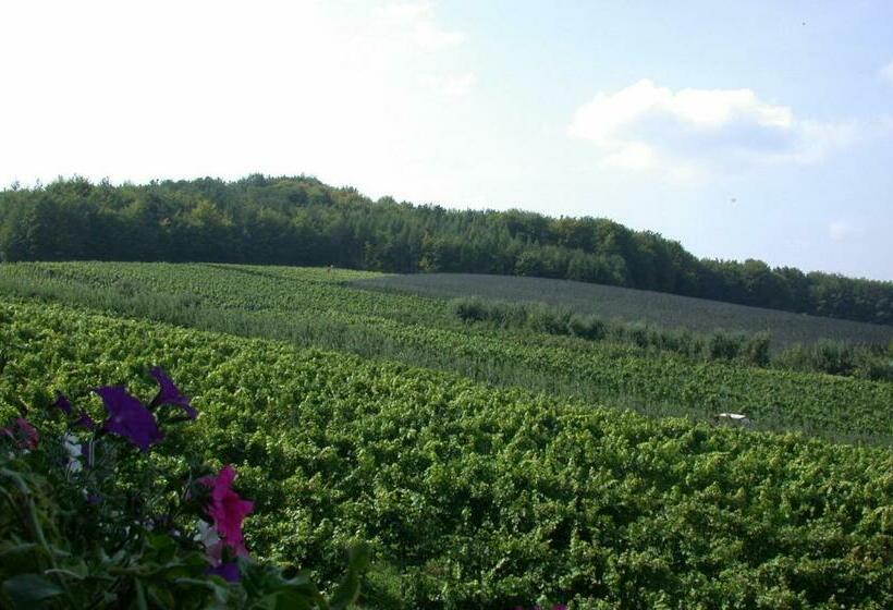 Номер Стандарт, Weinlandhof