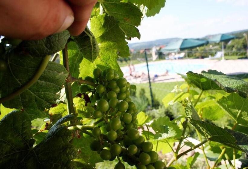 Номер Стандарт, Weinlandhof