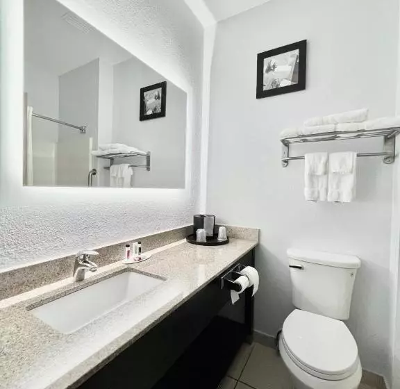 اتاق استاندارد با تخت بزرگ, Americinn By Wyndham Quincy