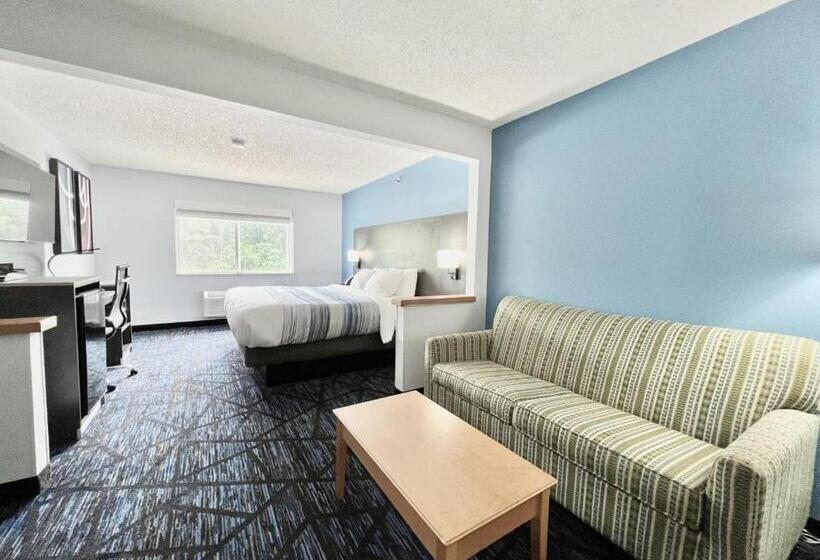 جناح سرير كينج, Americinn By Wyndham Quincy