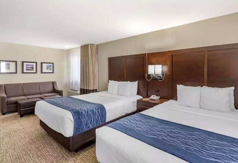 身障者適用スイートルーム, Comfort Inn & Suites Greeley