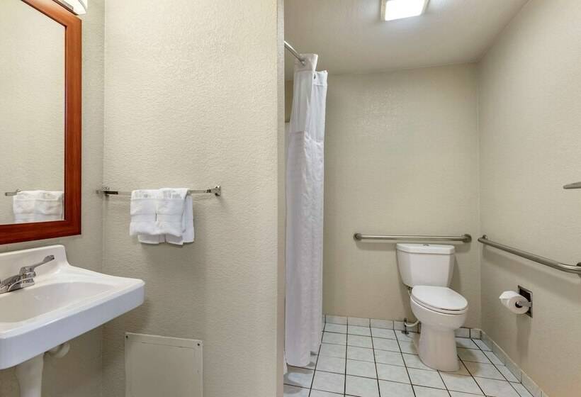 Люкс Адаптированный для Инвалидов, Comfort Inn & Suites Greeley