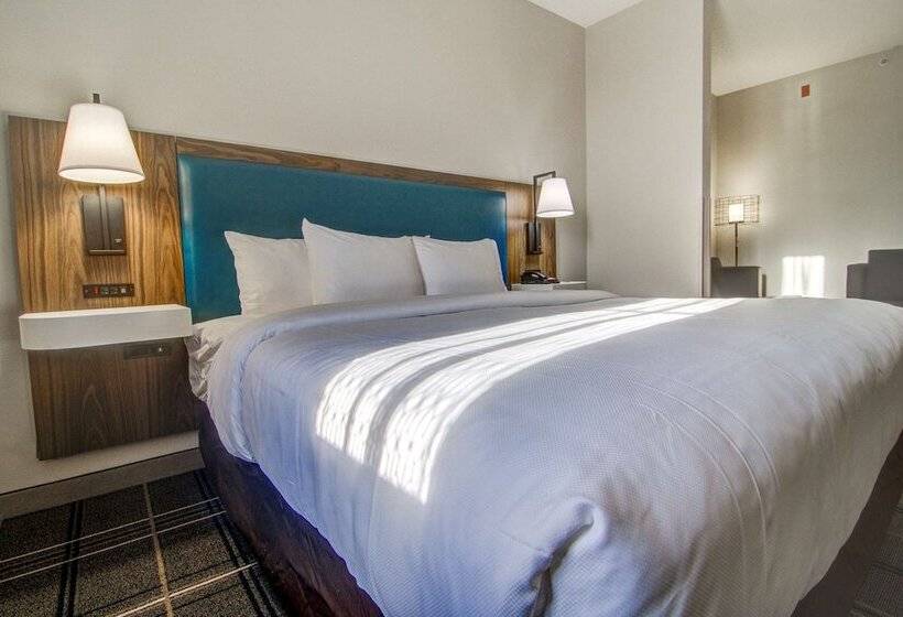 スイート, Comfort Suites Newport News Airport