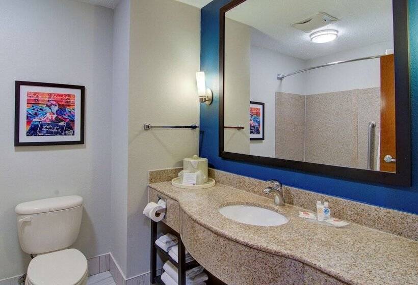 Люкс, Comfort Suites Newport News Airport