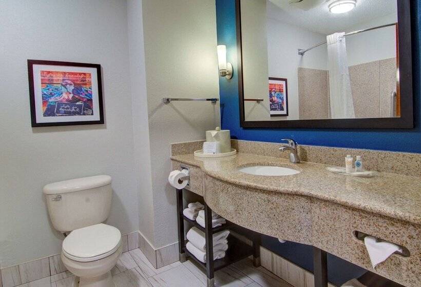 Номер Стандарт Адаптированный для Инвалидов, Comfort Suites Newport News Airport