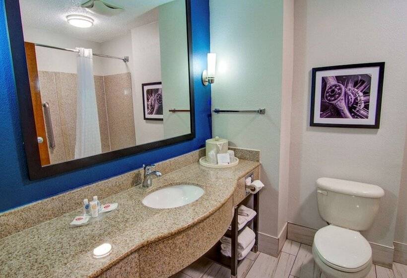 身障者適用スタンダードルーム, Comfort Suites Newport News Airport