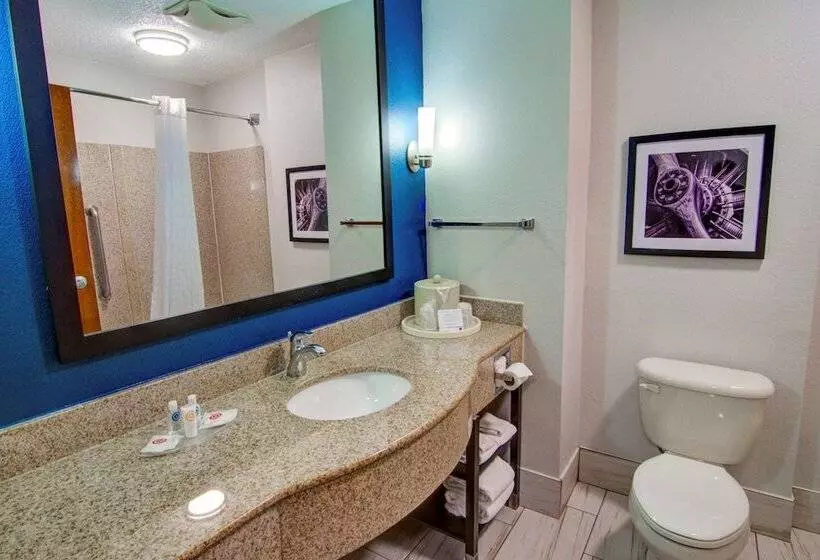 اتاق استاندارد برای معلولان, Comfort Suites Newport News Airport