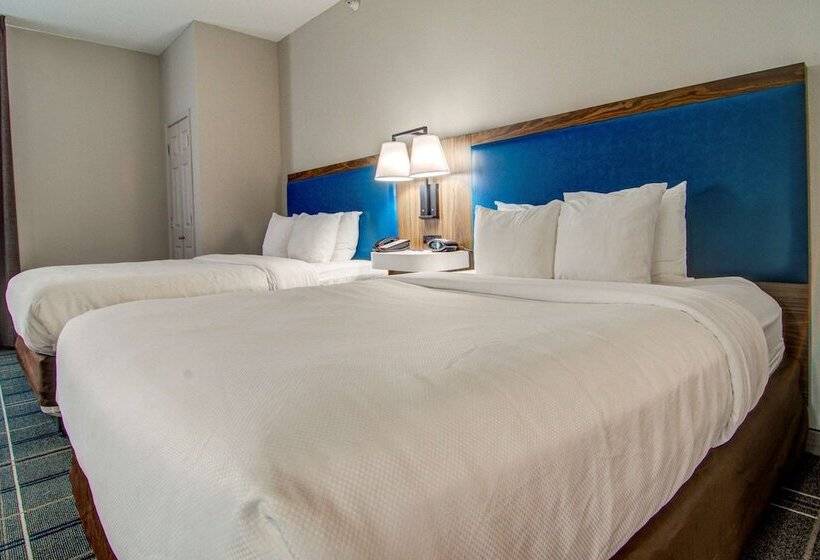 身障者適用スタンダードルーム, Comfort Suites Newport News Airport