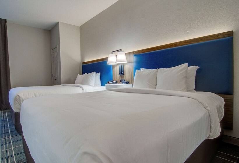 スイート, Comfort Suites Newport News Airport