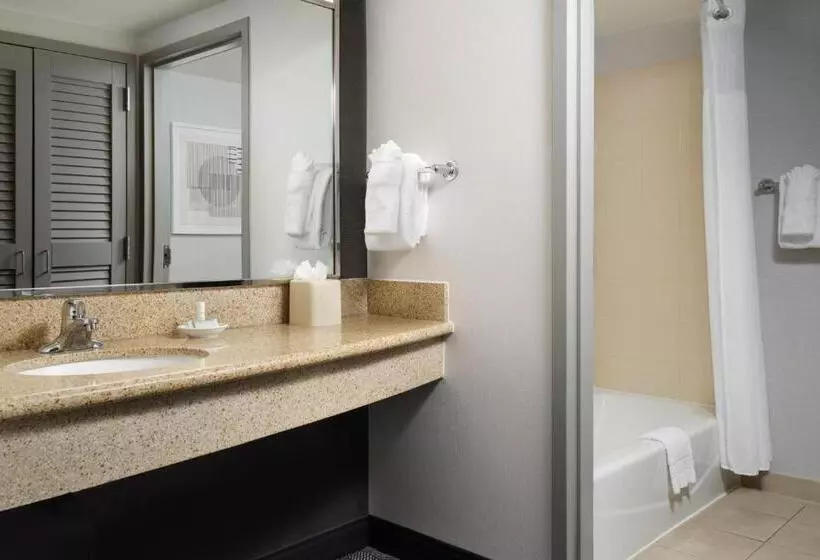 سوئیت با تخت بزرگ, Courtyard By Marriott Washington Capitol Hill/navy Yard
