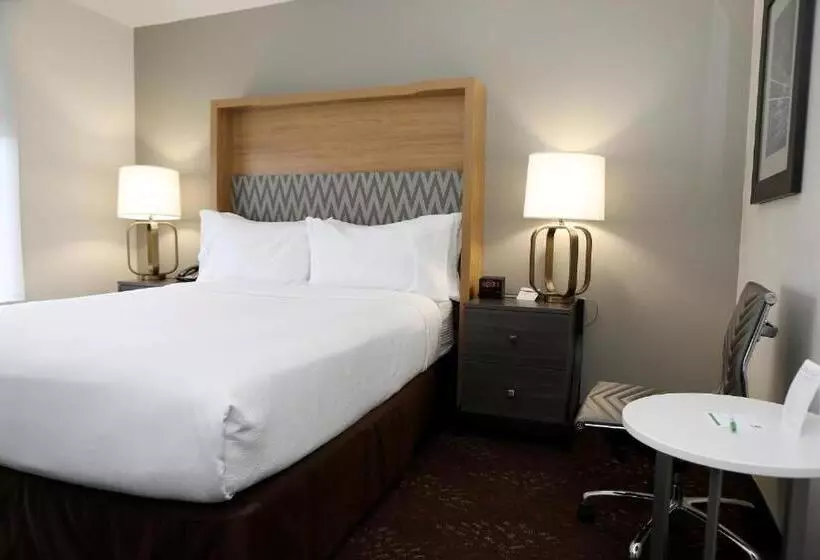 اتاق استاندارد, Holiday Inn O Hare Area, An Ihg