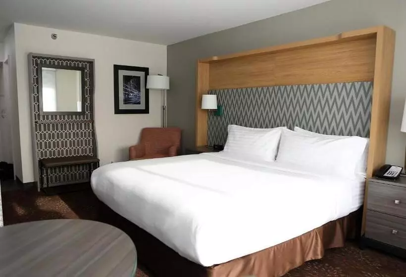 اتاق استاندارد با تخت بزرگ, Holiday Inn O Hare Area, An Ihg