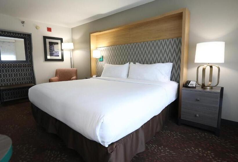חדר סטנדרט עם מיטת קינג, Holiday Inn O Hare Area, An Ihg