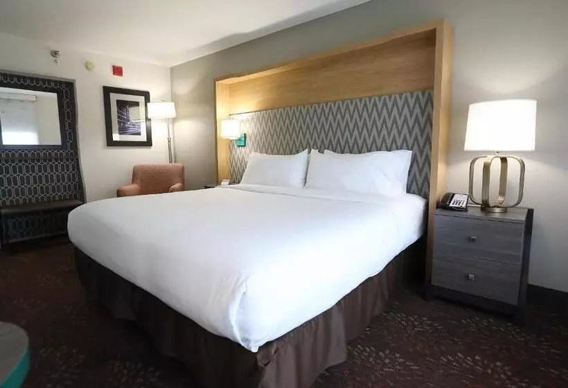 اتاق استاندارد با تخت بزرگ, Holiday Inn O Hare Area, An Ihg