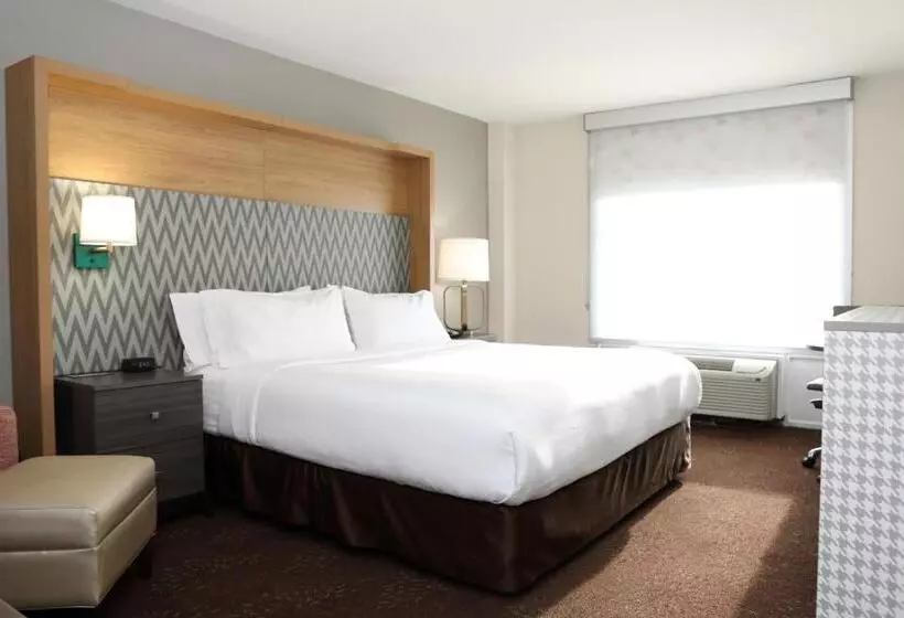 اتاق استاندارد با تخت بزرگ, Holiday Inn O Hare Area, An Ihg