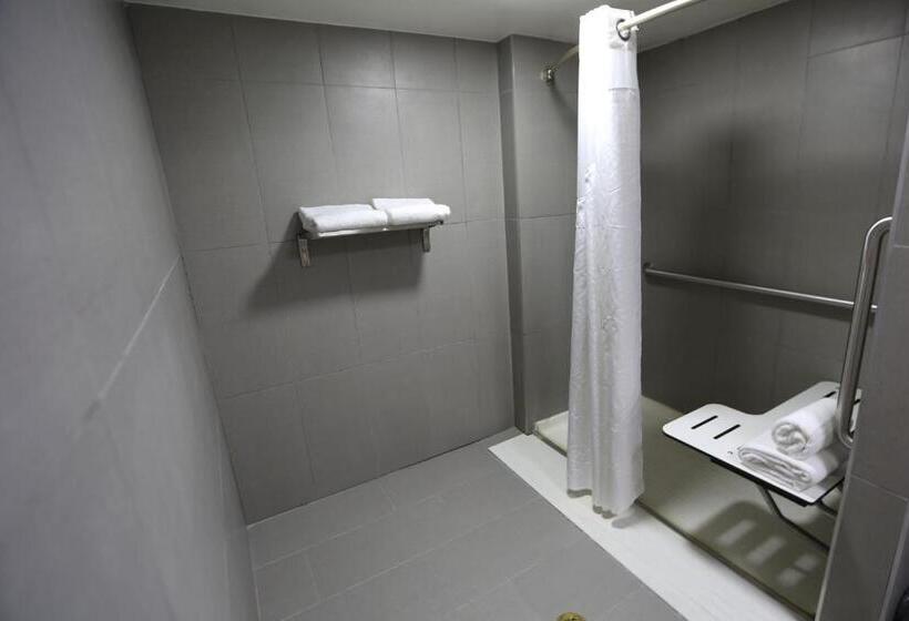 Standaardkamer met Kingsize Bed Aangepast voor Gehandicapten, Holiday Inn O Hare Area, An Ihg