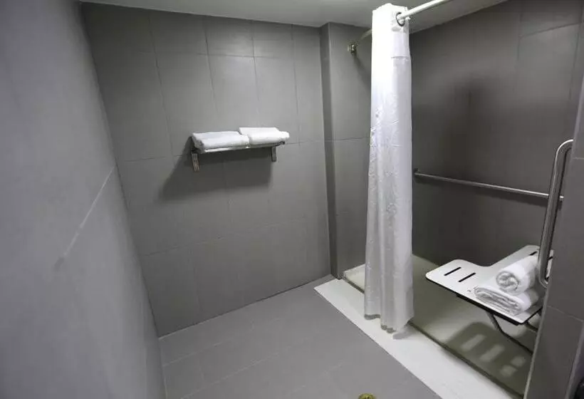 اتاق استاندارد با تخت بزرگ برای معلولان, Holiday Inn O Hare Area, An Ihg