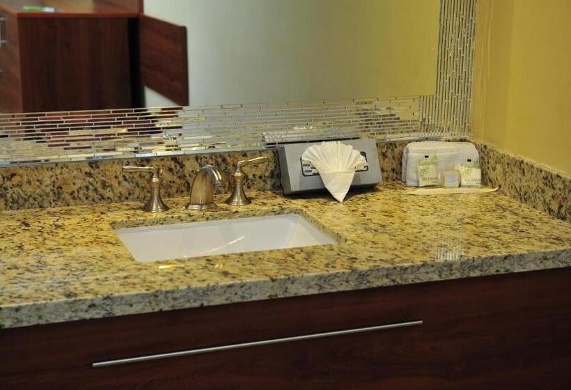 غرفة قياسية فردية, San Sebastian