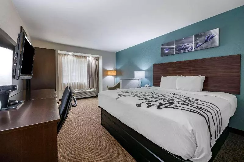 身障者適用キングサイズベッドルーム, Sleep Inn Jacksonville Airport