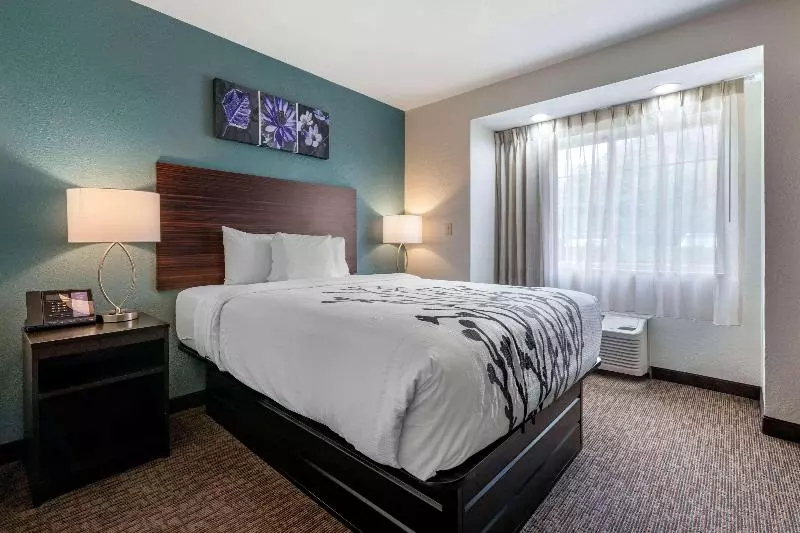 キングサイズベッドのスタンダードルーム, Sleep Inn Jacksonville Airport