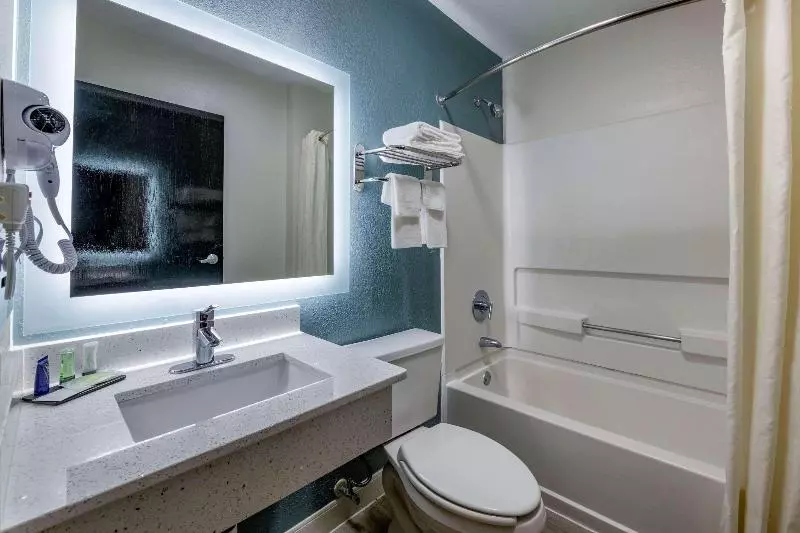 キングサイズベッドのスタンダードルーム, Sleep Inn Jacksonville Airport