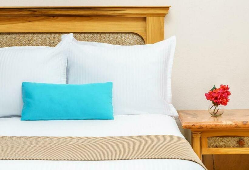 수피리어 룸 가든 전망, The Reef Playacar Resort