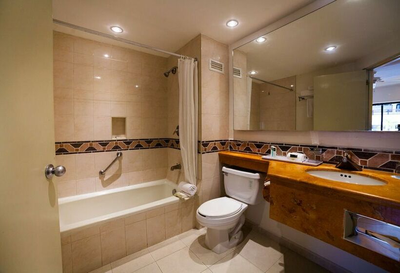 수피리어 룸 가든 전망, The Reef Playacar Resort