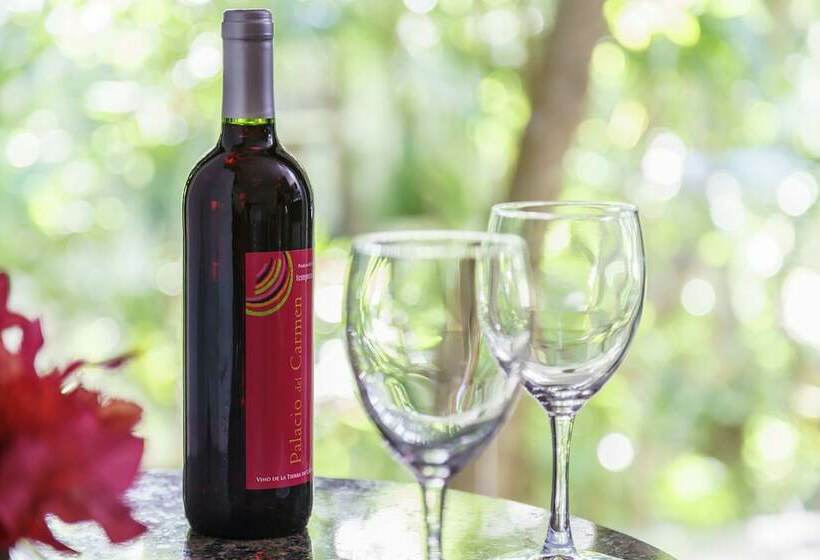 프리미엄 룸 가든 전망, The Reef Playacar Resort