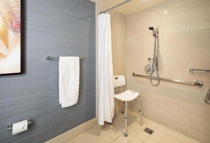 带大床的豪华间, The Westin Carlsbad Resort & Spa