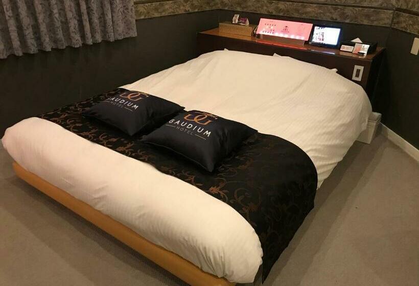 חדר אקונומי, Gaudium   Adult Only