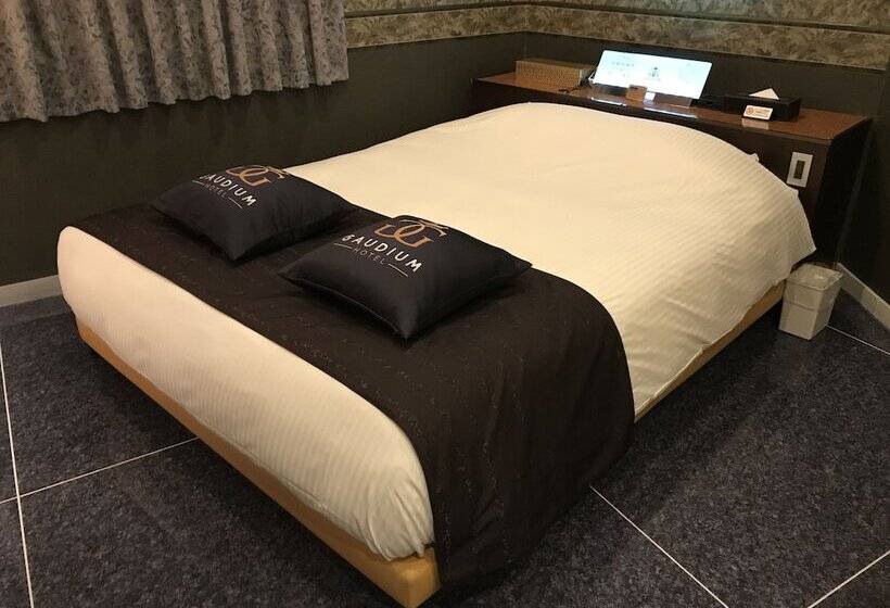 חדר אקונומי, Gaudium   Adult Only